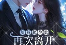 小说《她藏起孕肚再次离开,顾爷气疯了》在线阅读-够力荐小说推荐网