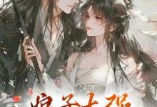 小说《娘子太强，我不想努力了》免费阅读-够力荐小说推荐网