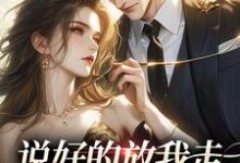 无删减版《说好的放我走,你咋又锁门了》全章节阅读-够力荐小说推荐网