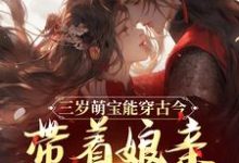 男女主人公禾宝陶薇小说三岁萌宝能穿古今，带着娘亲搞革命免费阅读-够力荐小说推荐网