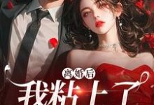 小说《离婚后，我粘上了那位大佬》免费阅读-够力荐小说推荐网