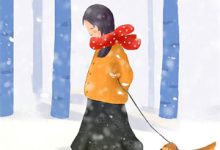 千帆过尽舟自沉章节免费在线阅读，陆沉舟文婧完结版-够力荐小说推荐网
