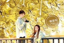 小说《我是天生锦鲤，后妈非说我是童养媳》在线章节阅读-够力荐小说推荐网