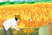 小说《回首烟波俱渺然》章节阅读-够力荐小说推荐网