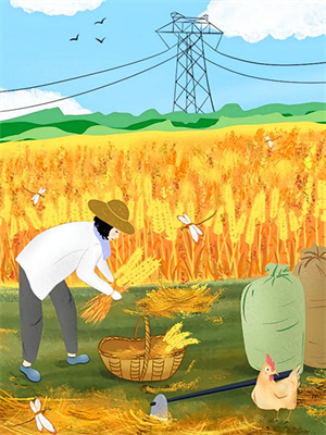 月亮跌落回故乡小说最新更新在哪里？免费在线看