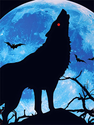 她与星河皆璀璨小说，她与星河皆璀璨宋清禾陈楚尧