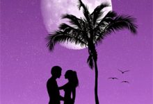 扶腰宠章节免费在线阅读，姜照月盛凌云完结版-够力荐小说推荐网